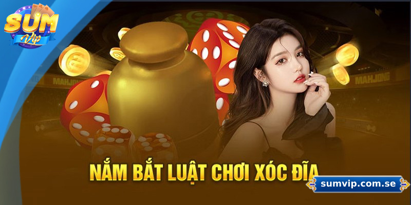 Luật Chơi Xóc Đĩa - Hướng Dẫn Chi Tiết Cho Người Mới 1 Giới thiệu luật chơi xóc đĩa cơ bản